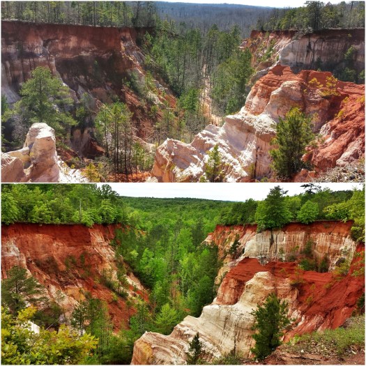 Late Winter Vs. Early Spring